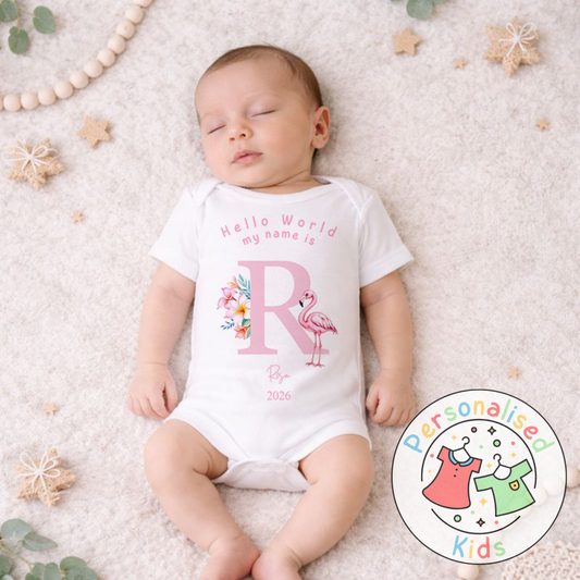 Personalised Hello World Pink Flamingo Baby Outfit PF001